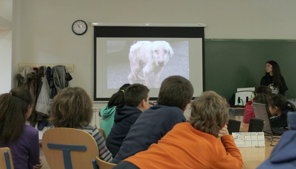 Podemos Andalucía propone incluir la cultura animalista en el curriculum educativo