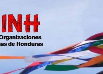 Honduras: COPINH ante la detención por parte de migración del observador Luis Díaz de Terán