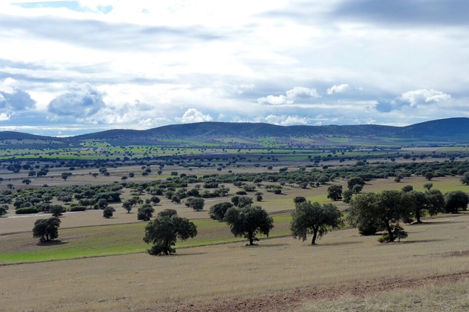 Un informe del MAGRAMA revela que la minería de tierras raras en Castilla-La Mancha no es ambientalmente viable