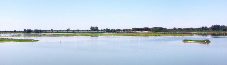 Nace Salvemos Doñana, iniciativa social para lograr la protección de esta Reserva de la Biosfera