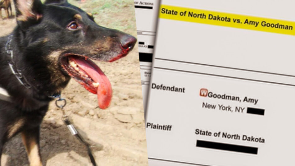 La periodista Amy Goodman se entregará a las autoridades de Dakota del Norte el 17 de octubre