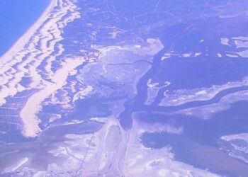 Ecologistas en Acción se suma a Salvemos Doñana contra el almacén de gas en este espacio protegido