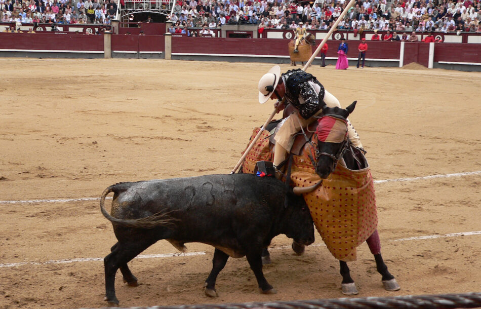 Posible sentencia del TC anulando la prohibición de los toros en Catalunya