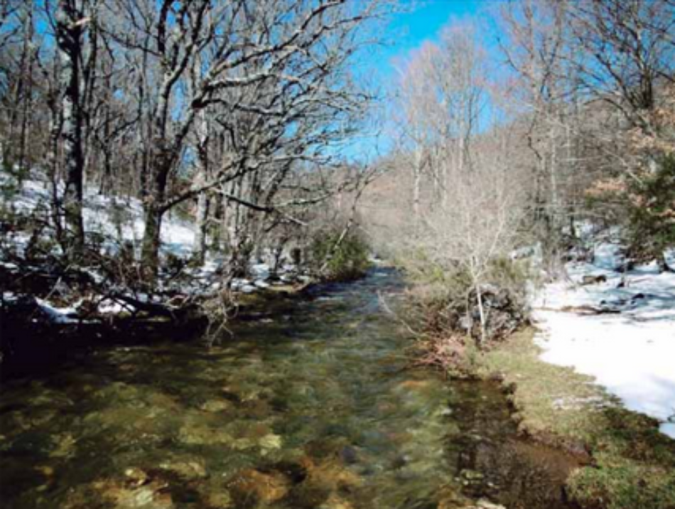 Presentación del informe ‘Medidas para la gestión de la reserva natural fluvial del río Jarama’