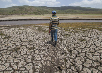 Gobierno de Bolivia declara emergencia nacional debido a la sequía y al déficit hídrico