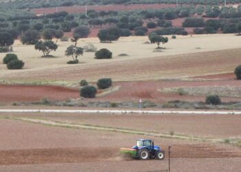 La sequía amenaza al campo con una siniestralidad de cientos de millones de euros
