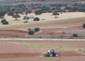 Solicitan que los fondos de recuperación europeos apoyen una transición justa y sostenible del sistema agroalimentario