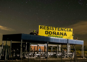 24 horas encadenados paralizando la obra de Gas Natural Fenosa en Doñana