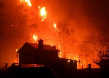 Es imprescindible acotar al pastoreo las zonas incendiadas según un informe técnico de la Universidad Politécnica de Madrid