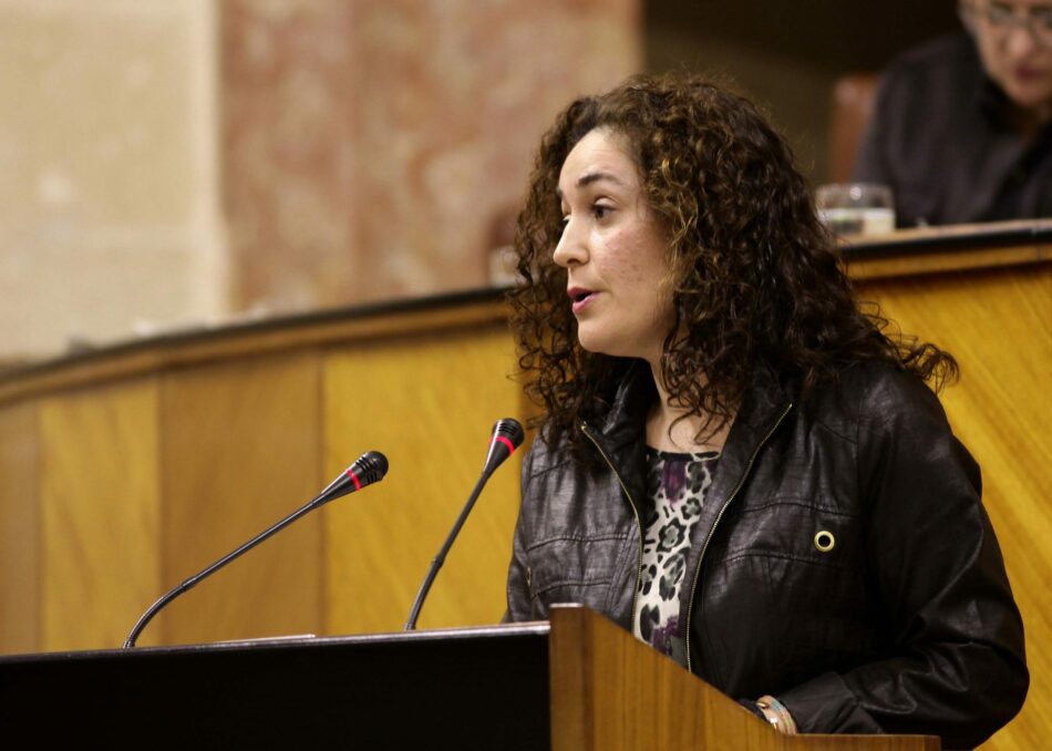 IU Andalucía muestra su satisfacción con el resultado de la ponencia de la Ley de Memoria Democrática pero exige mayor financiación