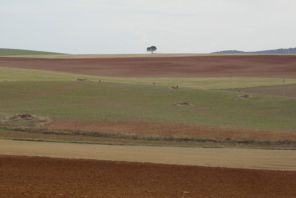 En respuesta a las declaraciones de la empresa Quantum Minería sobre los proyectos de tierras raras en el Campo de Montiel