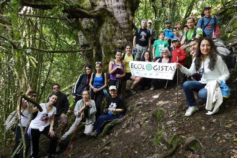 2016: Otro año sin hacer lo necesario por el medio ambiente