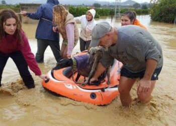 PACMA urge a las administraciones a elaborar planes de evacuación de animales en catástrofes