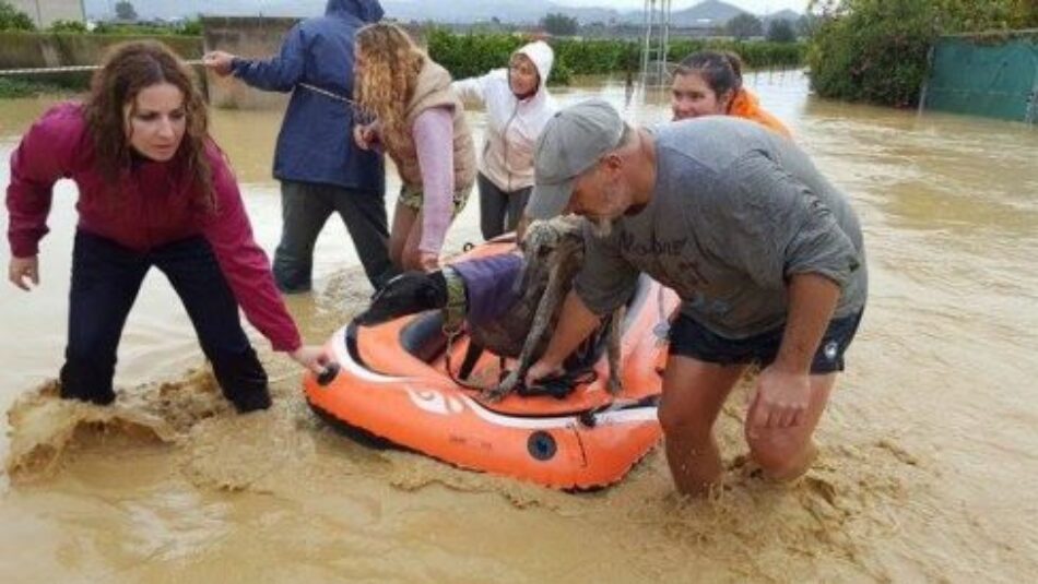 PACMA urge a las administraciones a elaborar planes de evacuación de animales en catástrofes