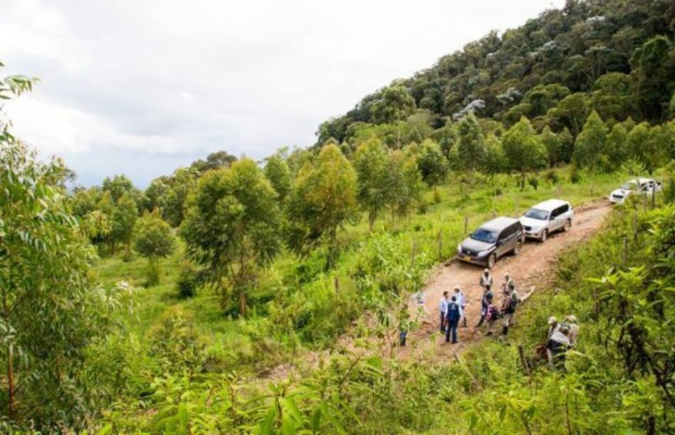 Colombia: Las Farc se desplazan hacia las zonas de desmovilización