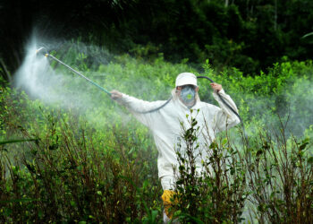 Un informe científico sobre el glifosato alerta sobre sus peligros para la salud y el medio ambiente