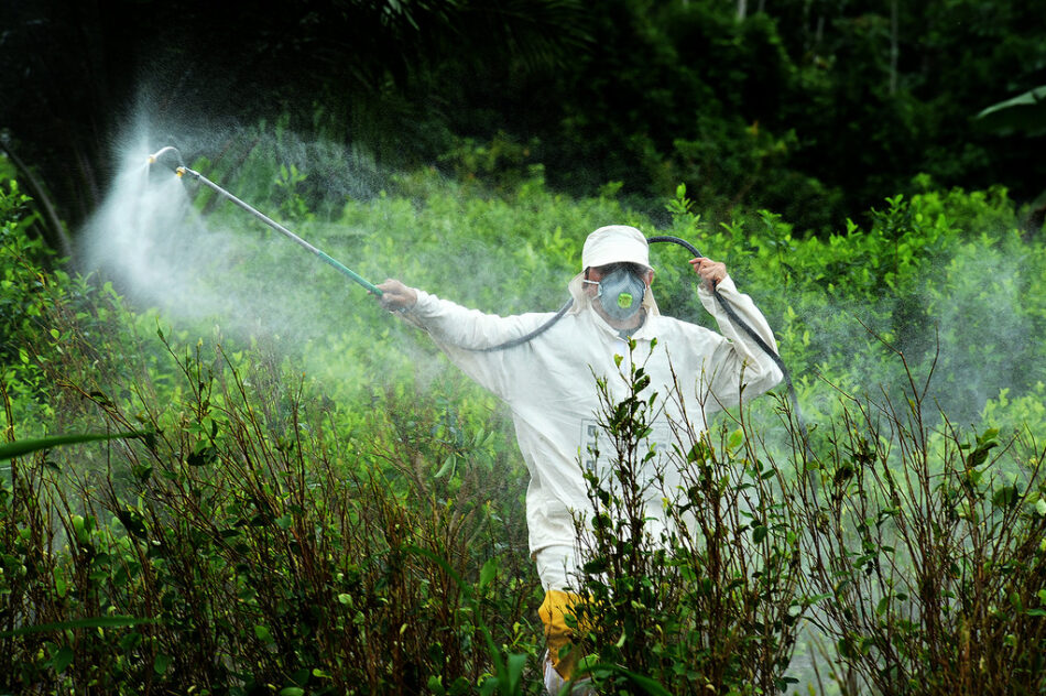 Un informe científico sobre el glifosato alerta sobre sus peligros para la salud y el medio ambiente