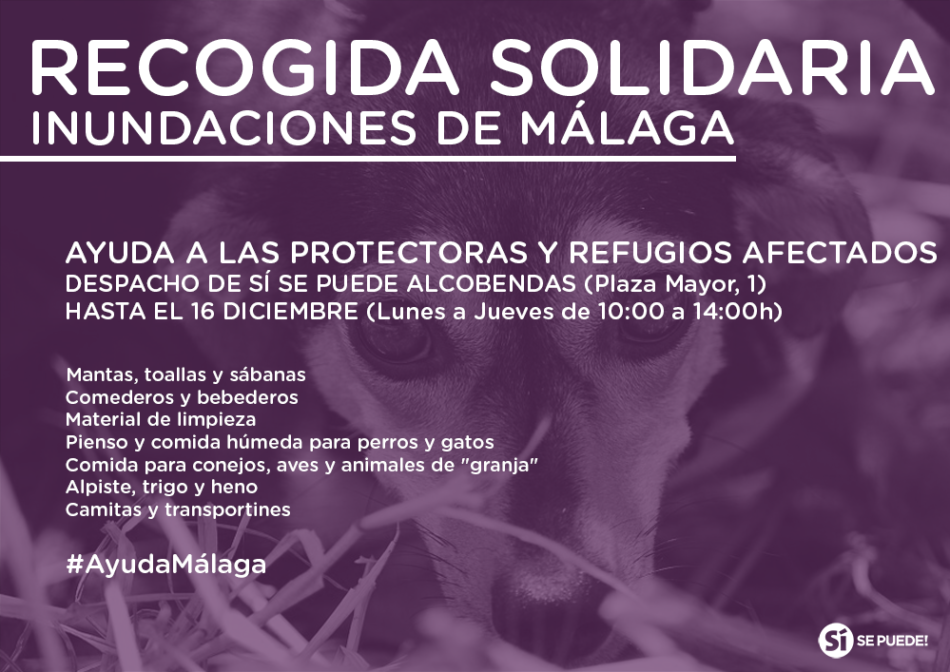 Recogida solidaria a favor de las protectoras y santuarios de Málaga