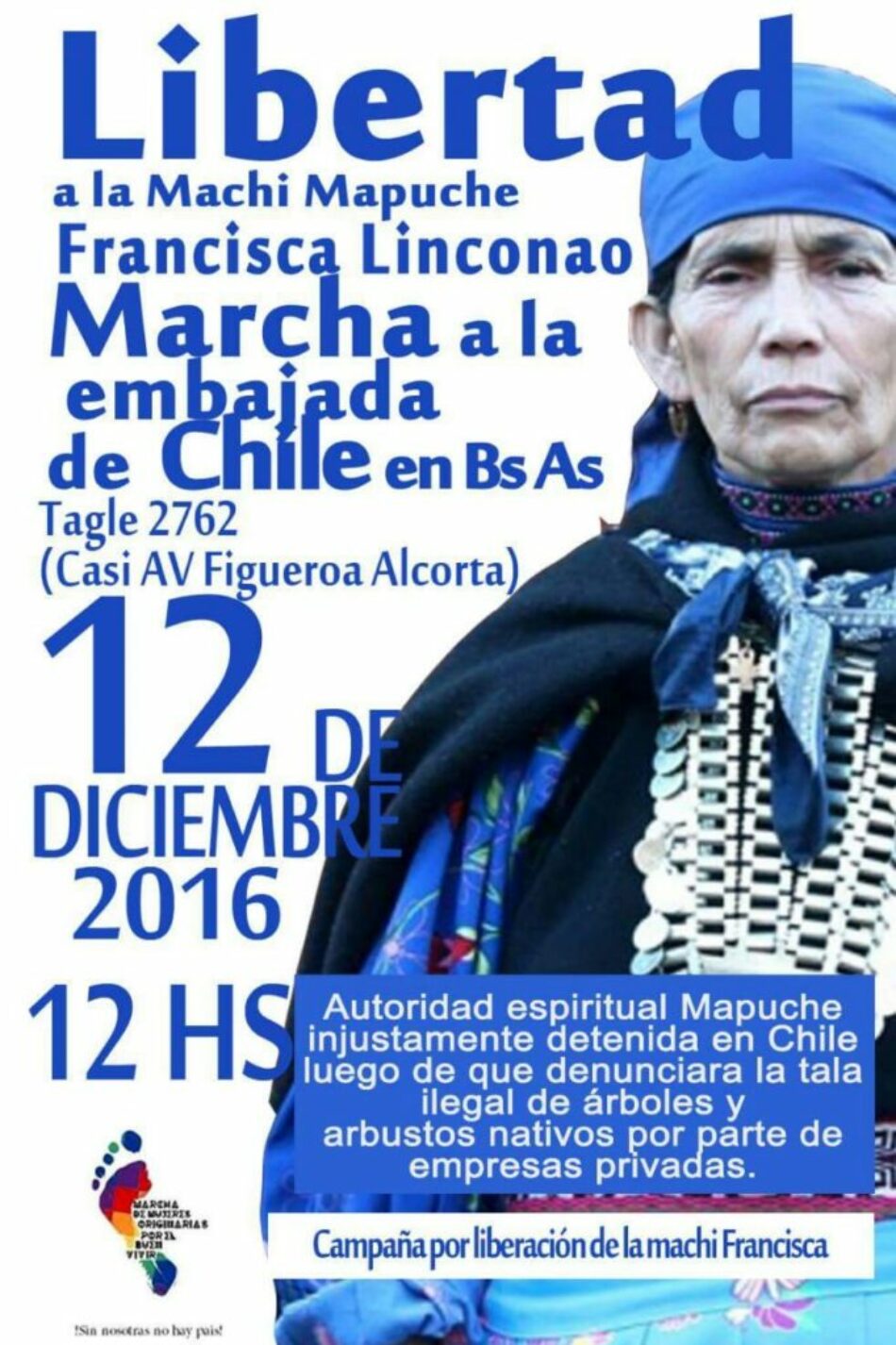 Convocatoria marcha por la libertad a la Machi Mapuche Francisca Linconao en Chile