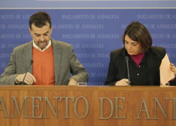 IU presenta alternativa a la Ley de Participación Ciudadana ante el texto “bastardeado” aprobado por la Junta de Andalucía