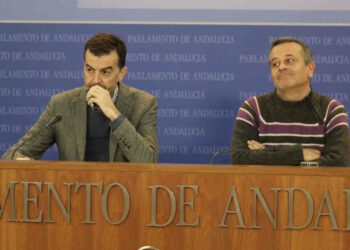 IU defenderá en el Parlamento que los 150 millones de flexibilización del déficit refuercen la sanidad pública andaluza