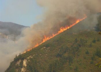 El Gobierno adelanta la campaña estatal contra incendios forestales por segundo año consecutivo