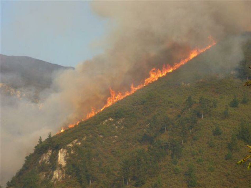 El Gobierno adelanta la campaña estatal contra incendios forestales por segundo año consecutivo