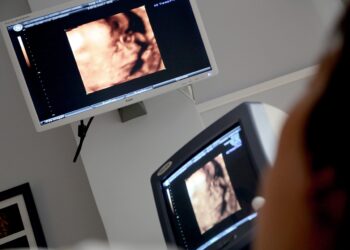 La Junta de Andalucía da de alta laboral a una mujer embarazada no recuperada