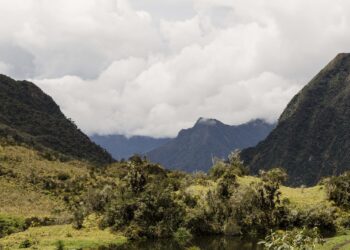 El Gobierno español está incumpliendo el compromiso de detener la pérdida de biodiversidad para 2020