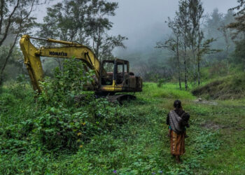 La hidroeléctrica española Ecoener-Hidralia renuncia a la obra en un río indígena de Guatemala tras una campaña internacional