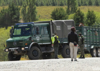 Nación Mapuche. Golpes a hombres, mujeres y niños Amnistía Internacional repudia la represión a la comunidad mapuche en Chubut