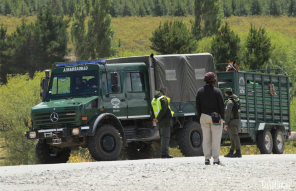 Nación Mapuche. Golpes a hombres, mujeres y niños Amnistía Internacional repudia la represión a la comunidad mapuche en Chubut