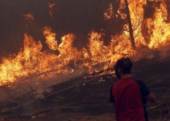 Chile vive el peor desastre forestal de su historia