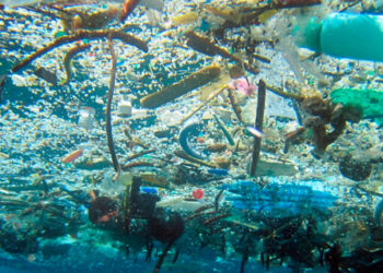Las basuras marinas son una grave amenaza para los ecosistemas