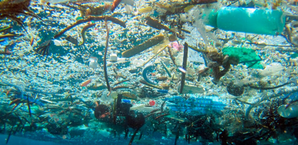 Las basuras marinas son una grave amenaza para los ecosistemas