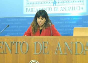Podemos propone a la constitucionalista Ana M. Carmona como candidata andaluza al TC