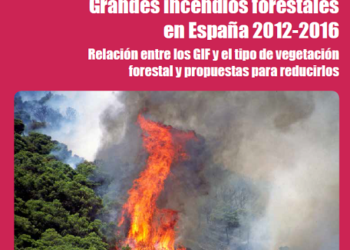 Las zonas forestales artificiales son las responsables de los incendios más graves
