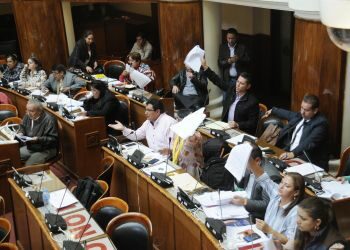 Cocaleros aceptan acuerdo para poner fin a movilizaciones y aprobar Ley de la Coca en Bolivia