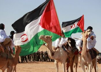 Dinamarca se desmarca de ciertas actividades económicas en el Sahara occidental