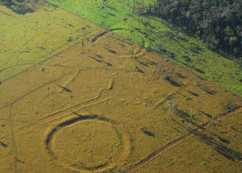 Hallan 450 geoglifos de 2.000 años de antigüedad en la Amazonía