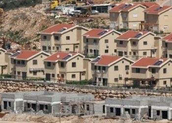 Trump: La construcción de asentamientos judíos en suelo palestino no es bueno para la paz