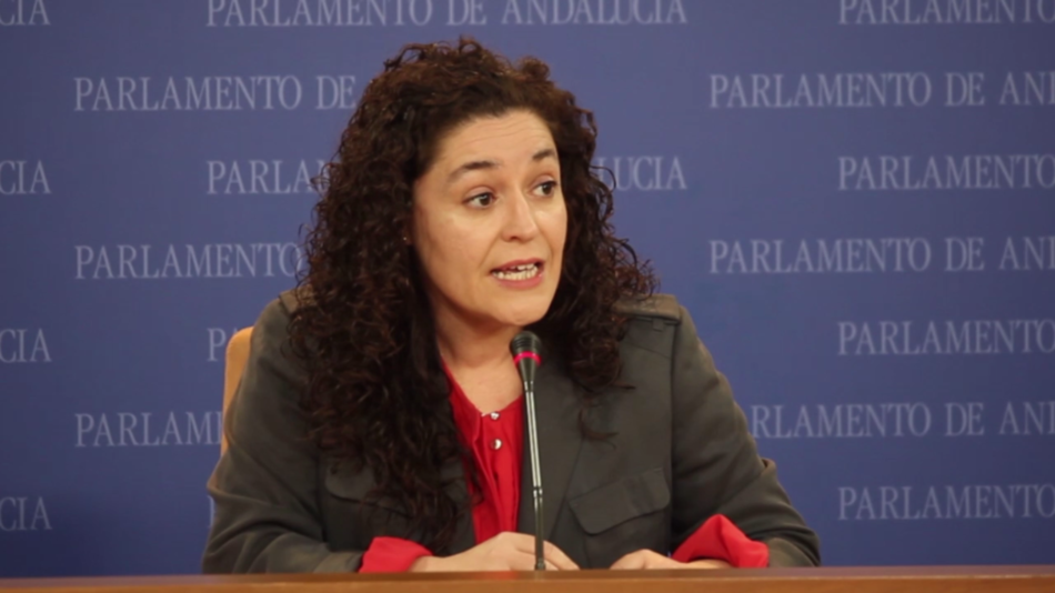 IU reitera en el Parlamento su petición de Pleno monográfico sobre sanidad ante la política errática del PSOE