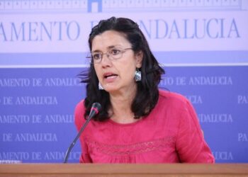 Carmen Molina preguntará en el Parlamento por el control de las emisiones de la cementera de Alcalá de Guadaíra