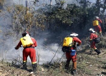 Unos 18 mil efectivos combaten 131 incendios forestales en Chile