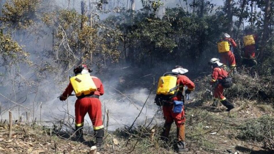 Unos 18 mil efectivos combaten 131 incendios forestales en Chile