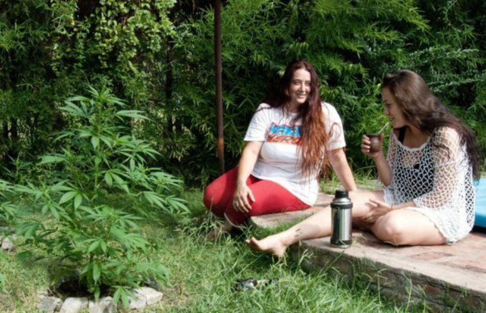 Argentina: Bajo el lema “Parar al Narcotrafico”, Detienen a cultivadora que hace aceite medicinal de cannabis
