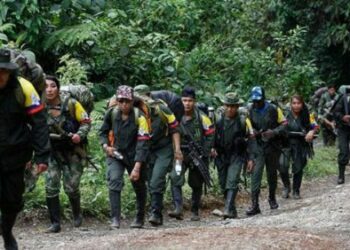 Santos no cumple: Solo una de las 19 zonas veredales avanza para albergar a las FARC-EP