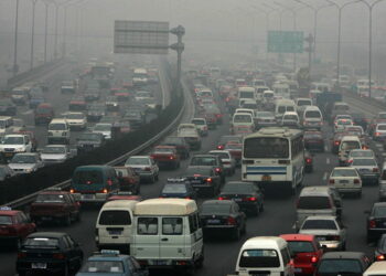 EQUO pregunta al gobierno por su postura sobre el control de las emisiones de los vehículos