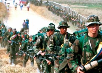Casi finaliza traslado de miembros de las FARC-EP para desarme
