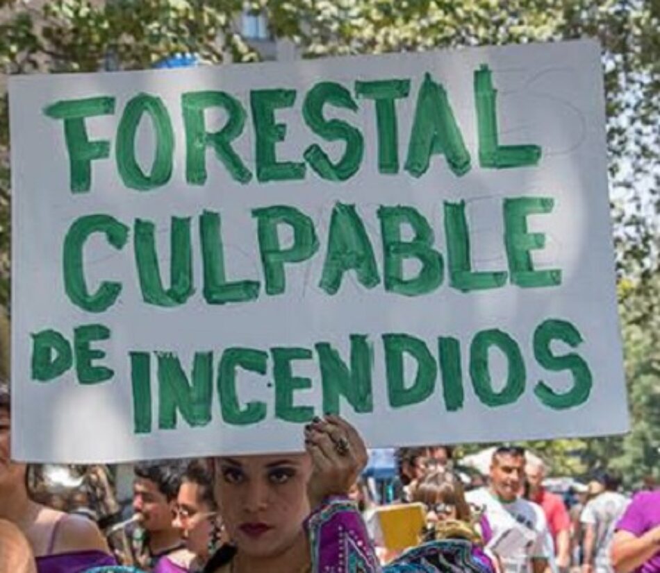 Nación Mapuche: PPM y comunidades Mapuche de Lebu llaman a Pueblo chileno a rebelarse contra empresariado forestal